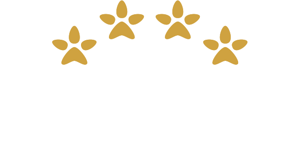 Four Paws gyvūnų viešbutis